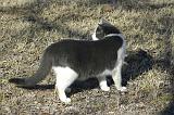 20050204_Kitty Kat_024